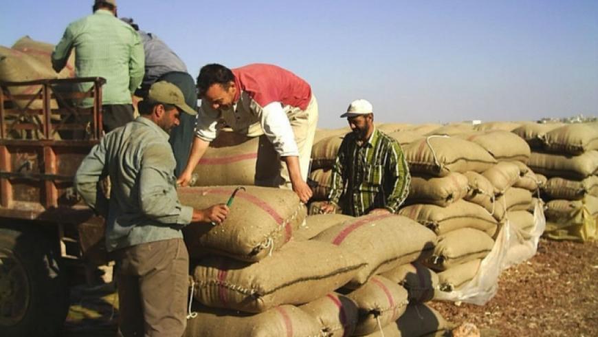 الحشد الشعبي يهرب الطحين من سوريا إلى العراق عبر معبر القائم