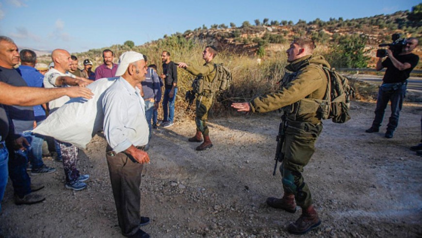 مقتل امرأة فلسطينية في أثناء قطف الزيتون برصاص الاحتلال الإسرائيلي